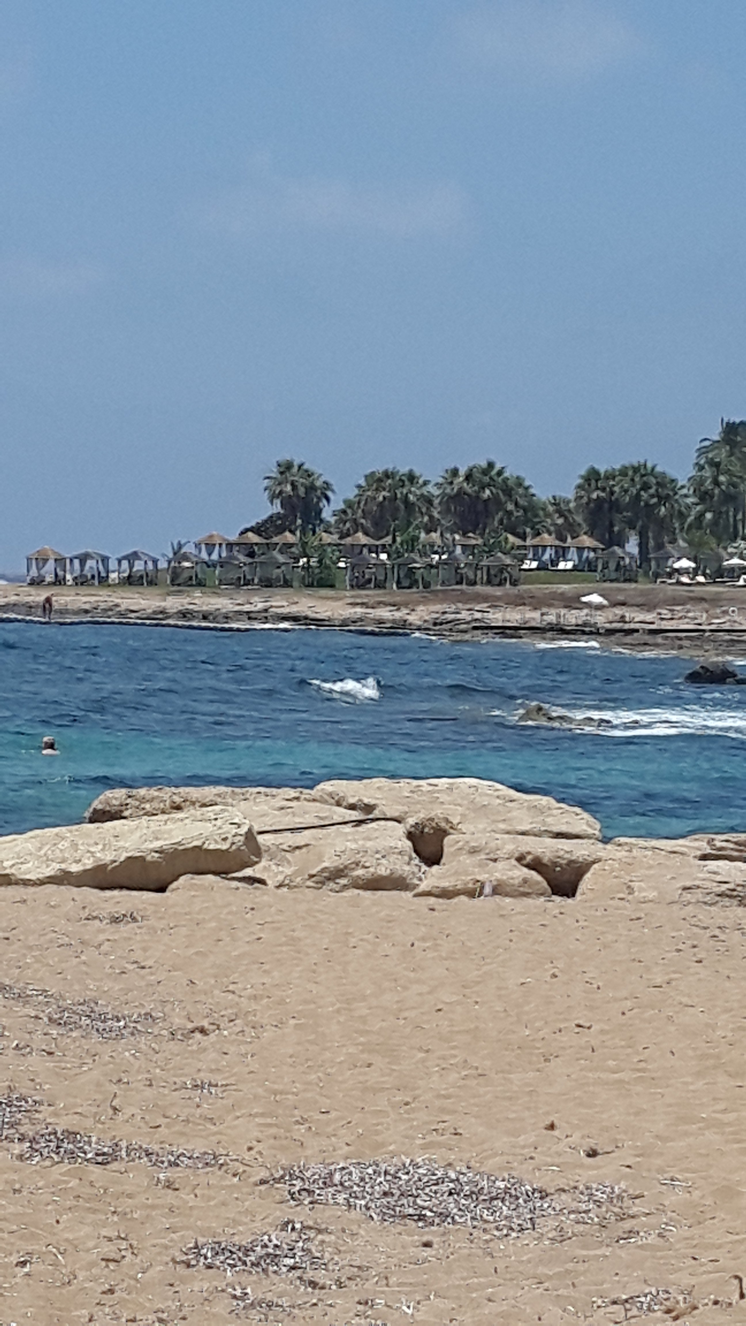 20170618_130908.jpg