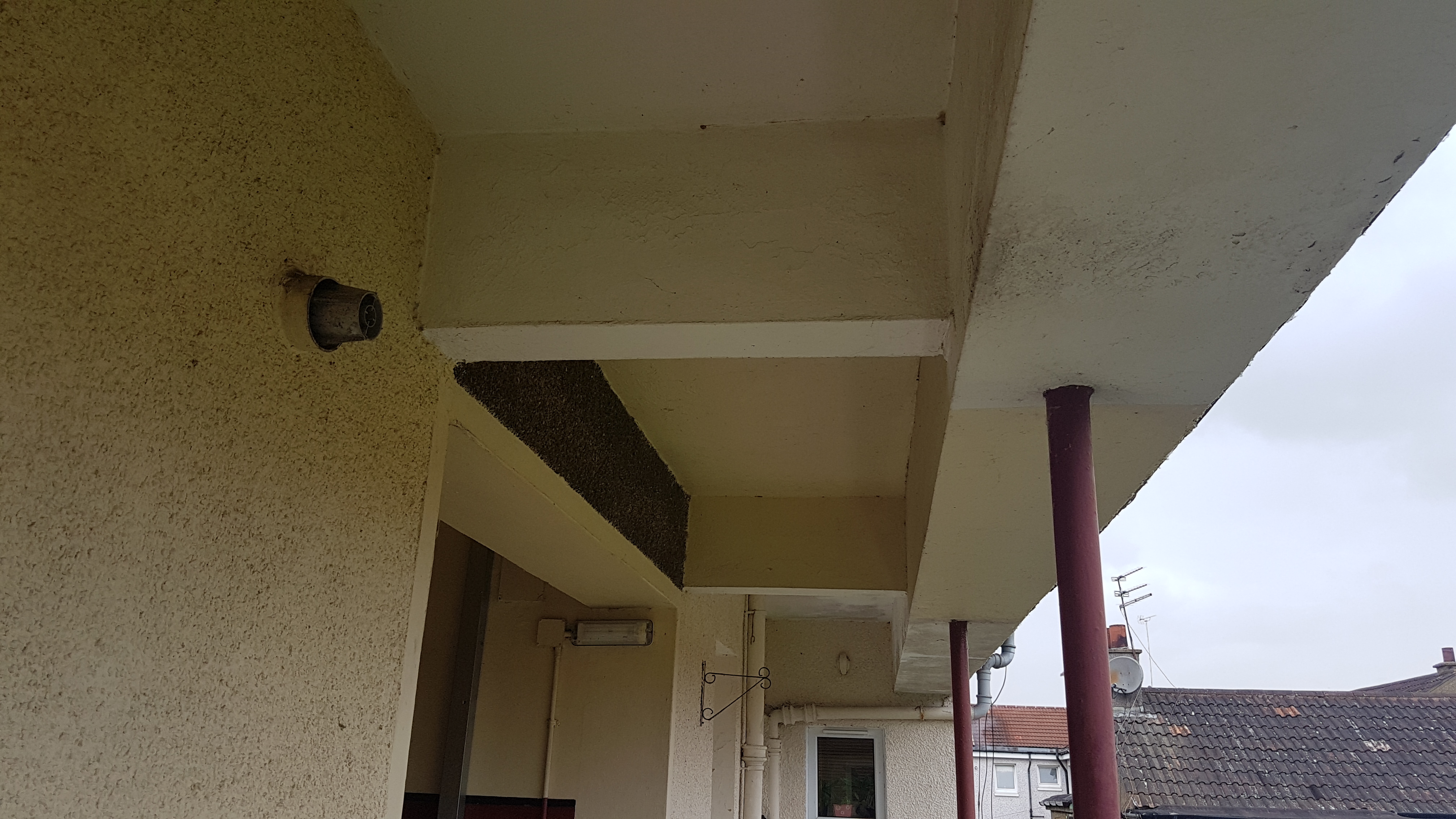 20170728_184036.jpg