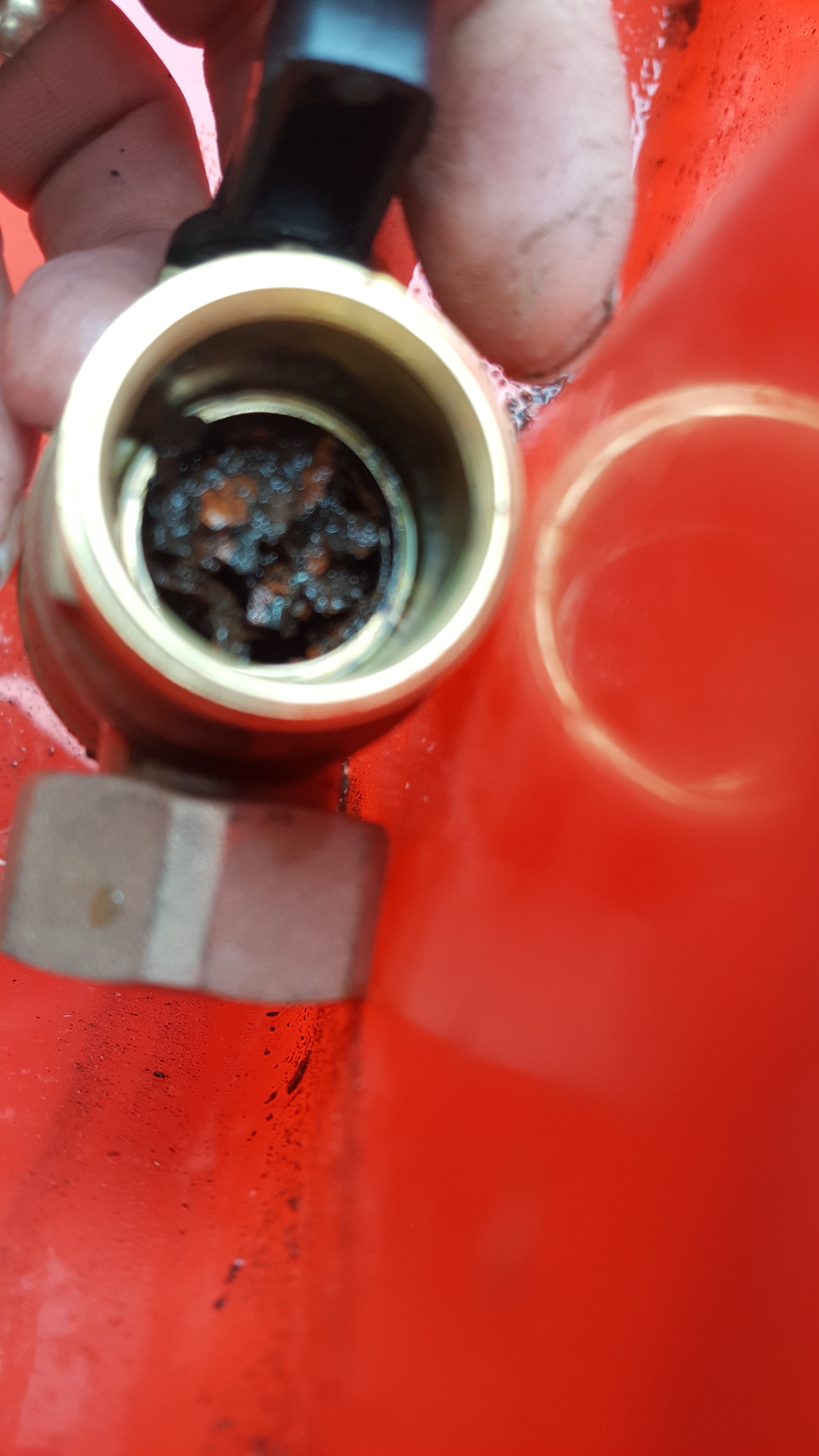 20180712_134052.jpg
