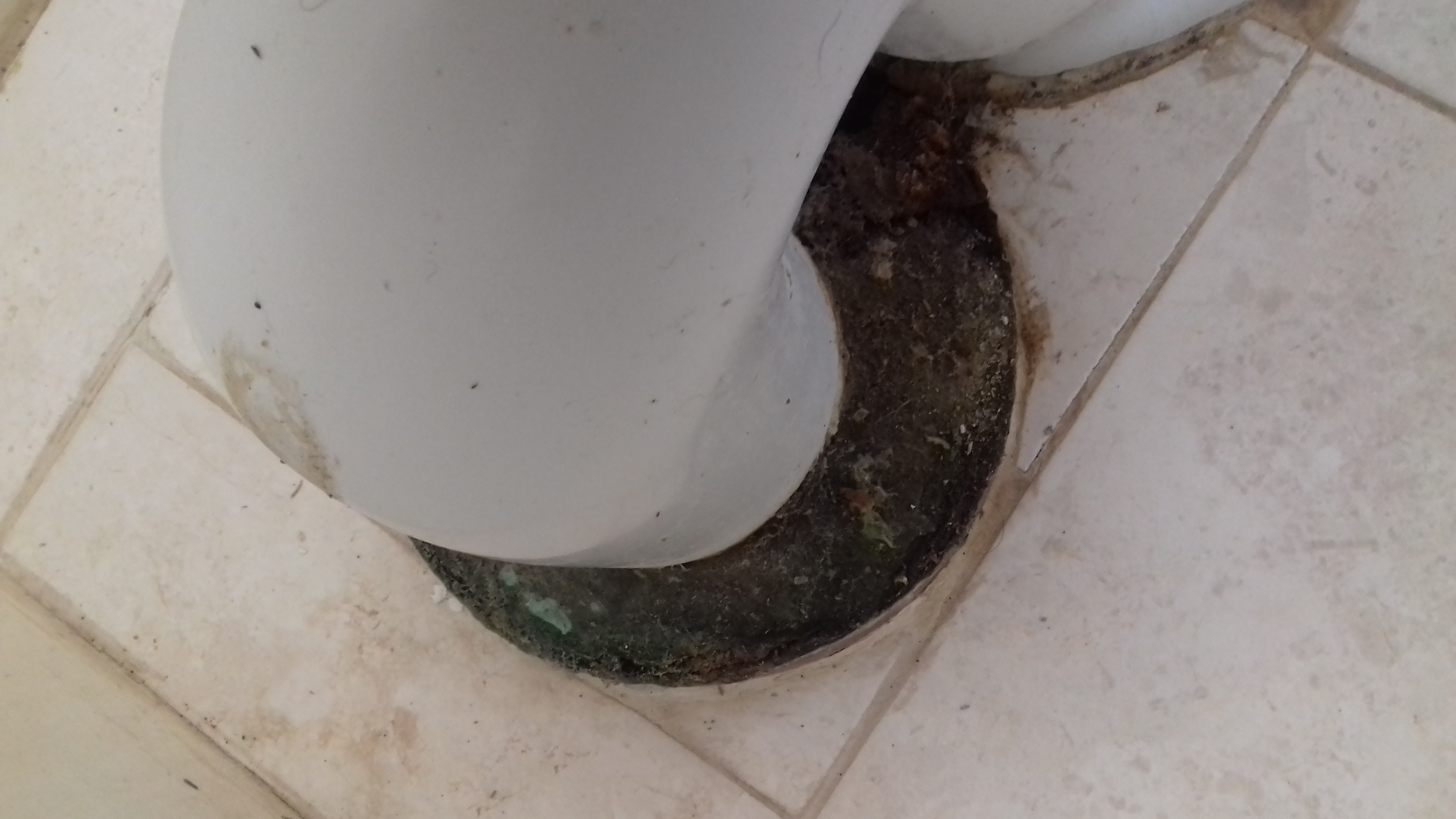 20190224_115827.jpg