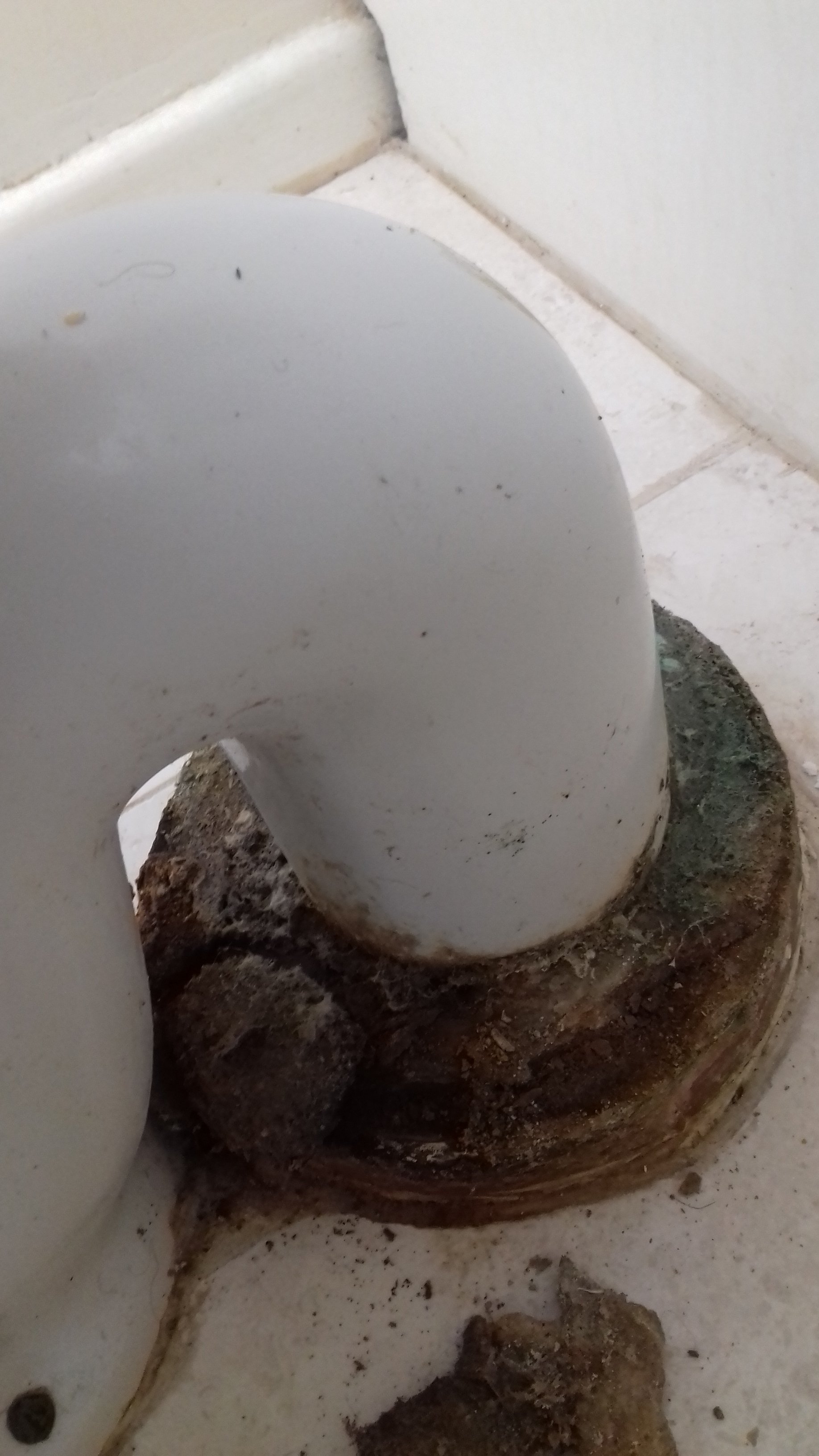 20190224_115840.jpg