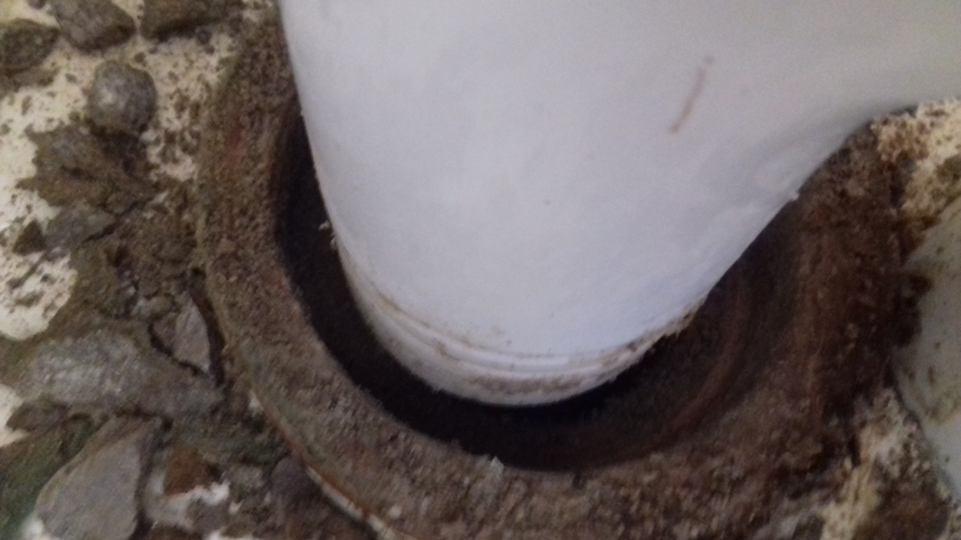 20190227_145931.jpg