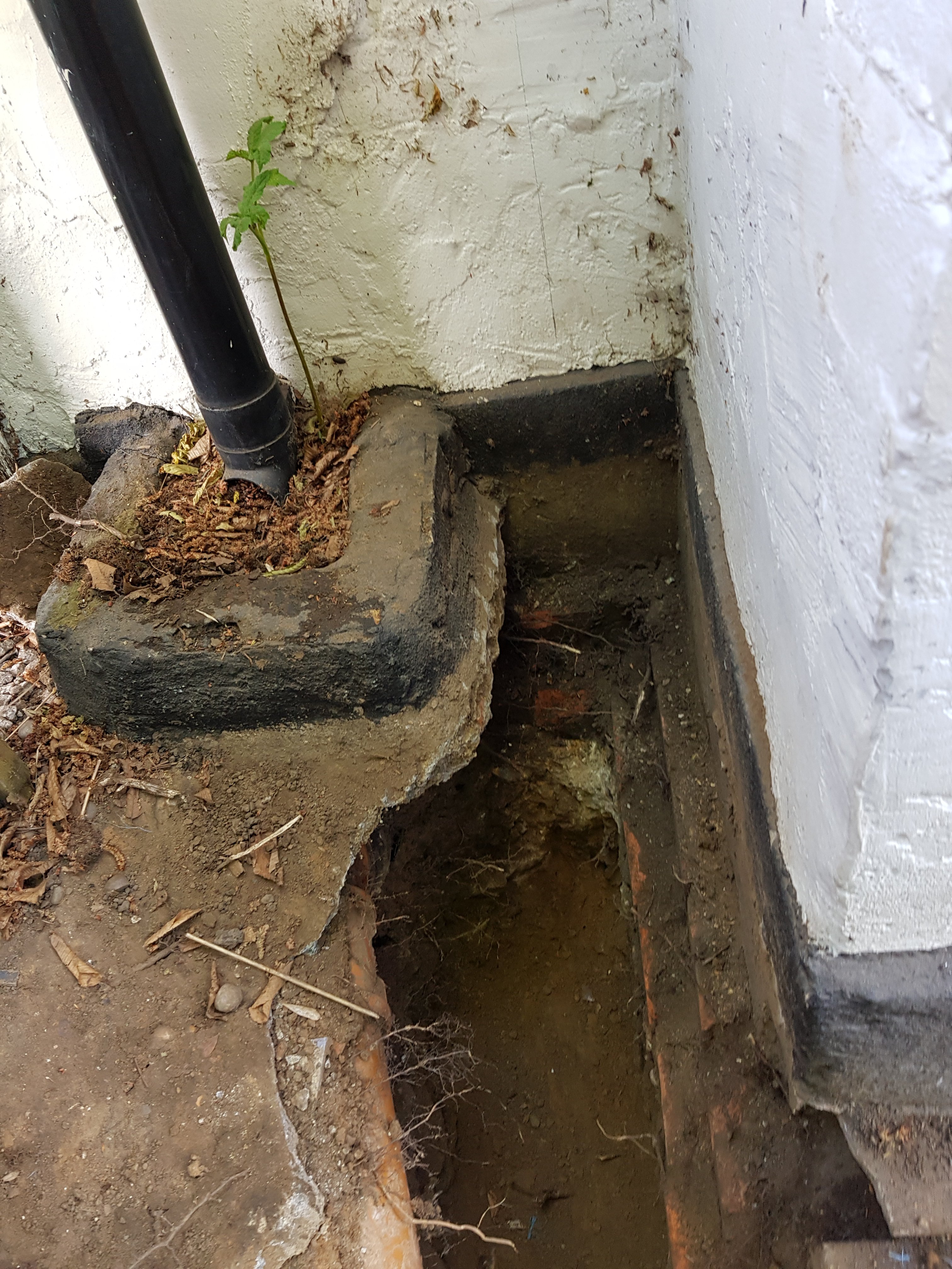 20190528_165437.jpg