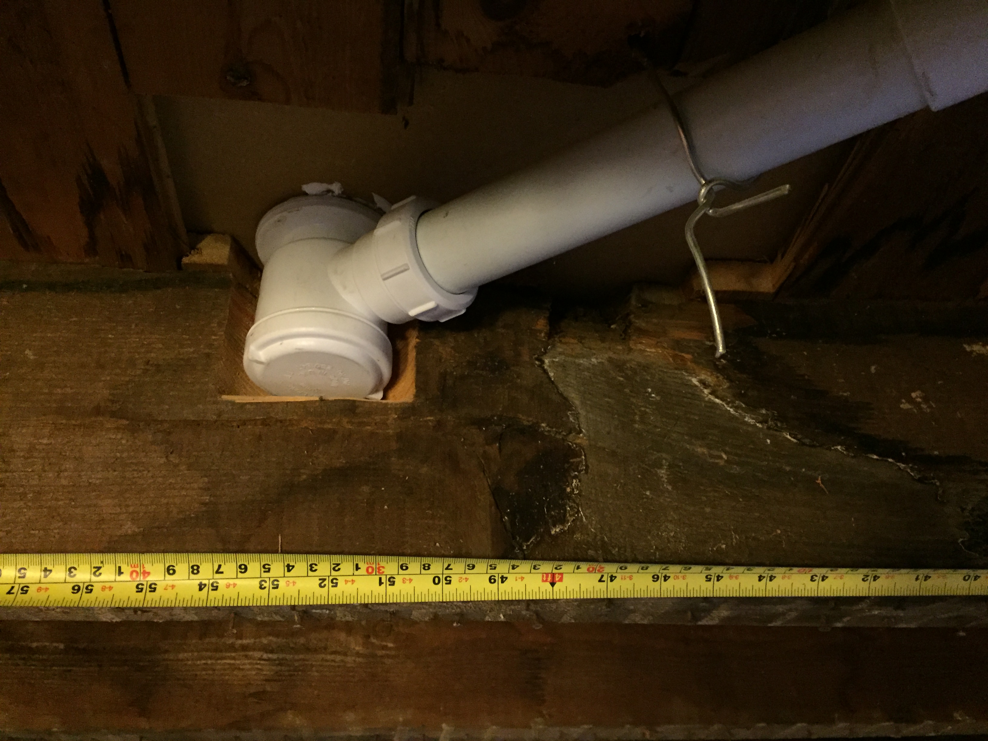 52EAF08F-5506-4E7D-9897-6AF2063D3EC8.jpeg