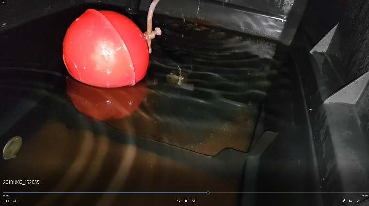 cold tank.jpg