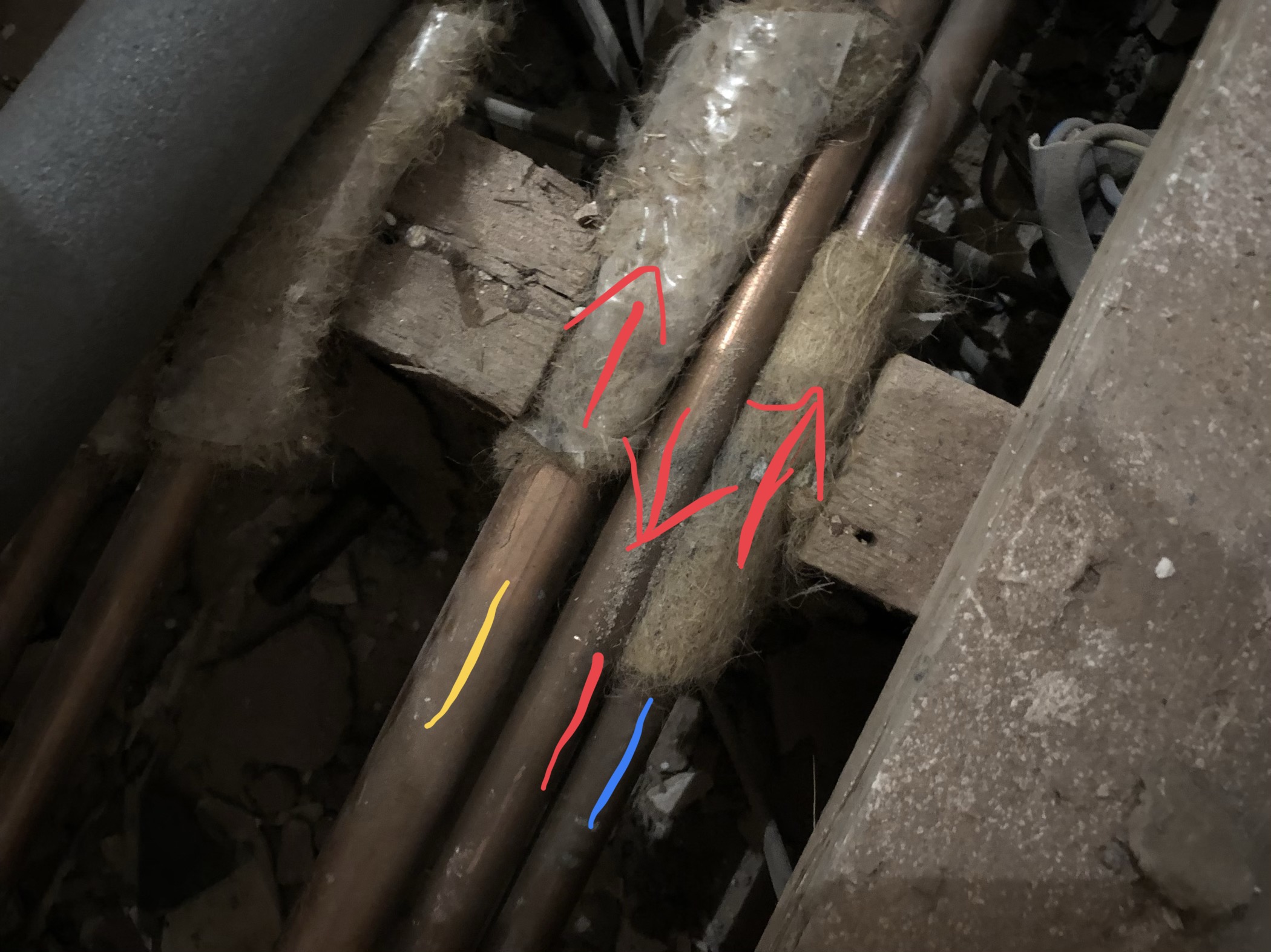 DF438D0F-06F8-4267-9F4C-AA4079BD9616.jpeg