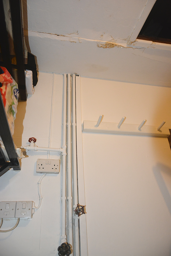 DSC_4629-web.jpg