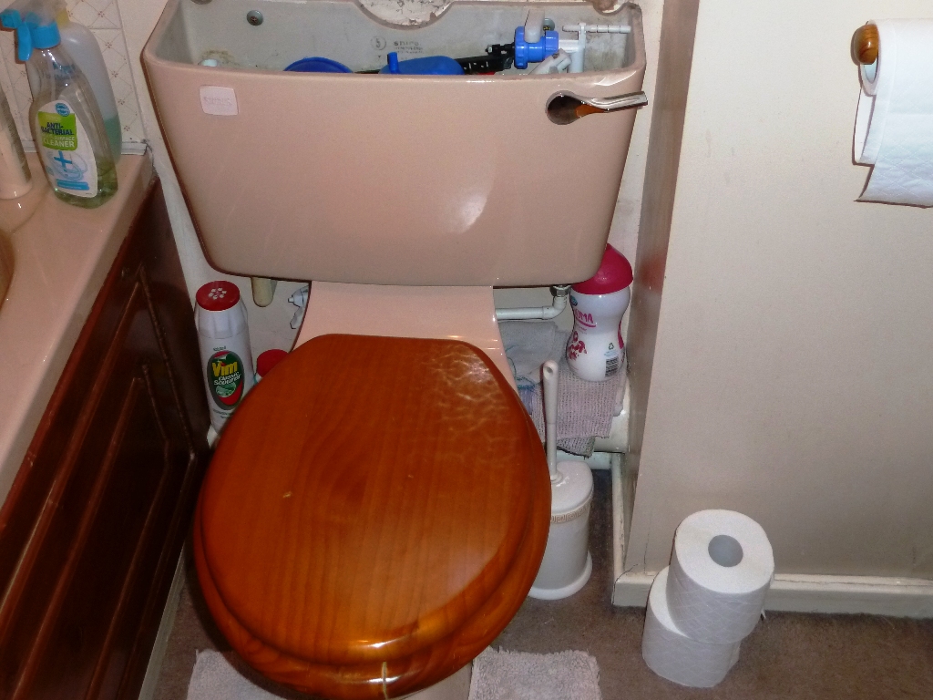 loo (1).JPG