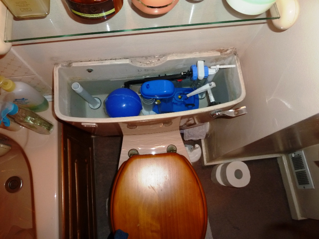 loo (2).JPG