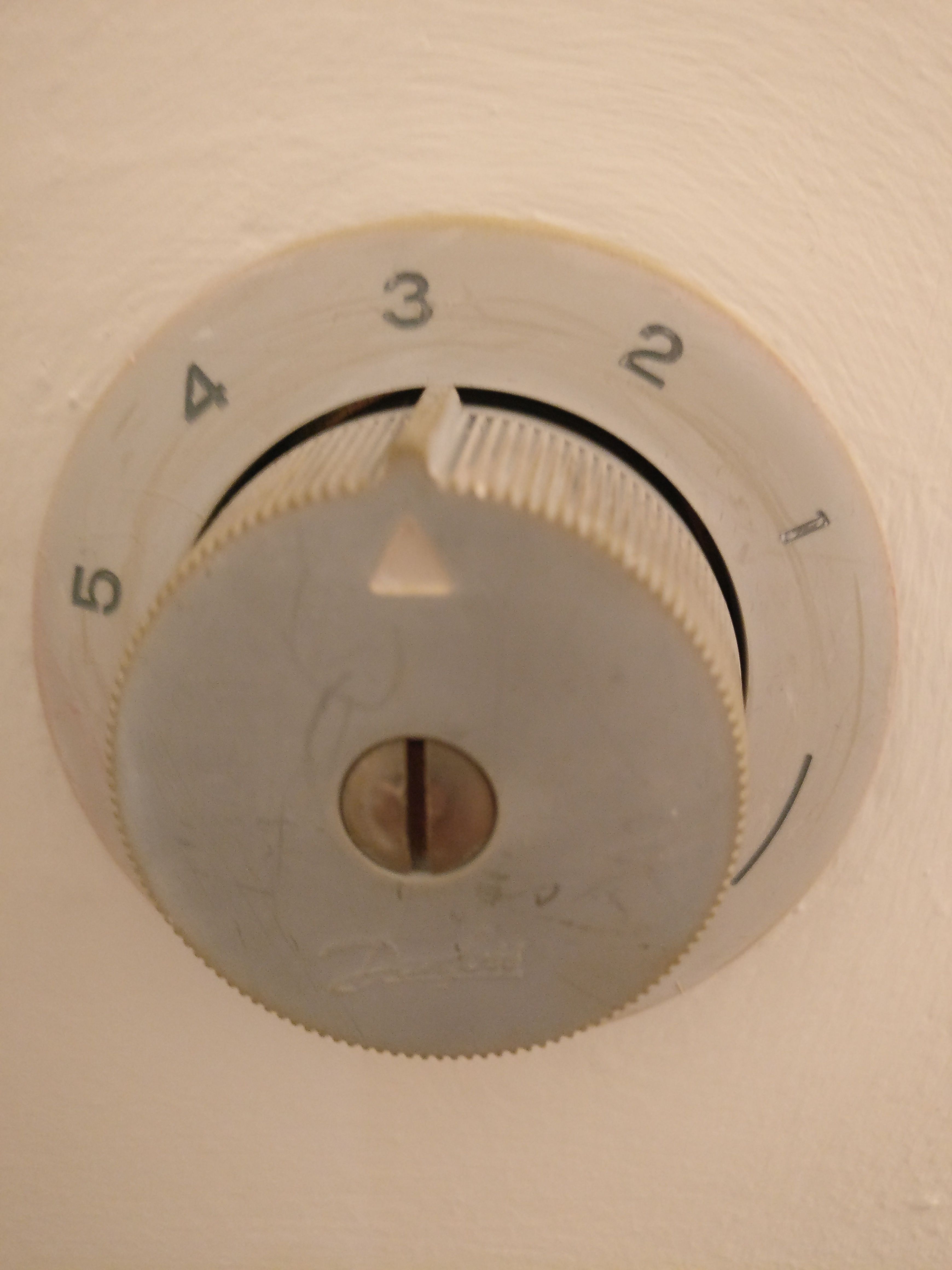 p3.jpg
