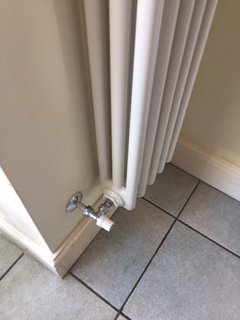 radiator .JPG