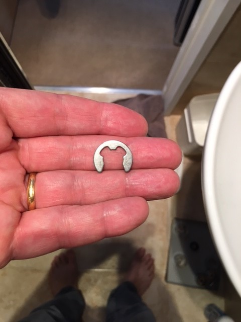 showerpic1.jpg