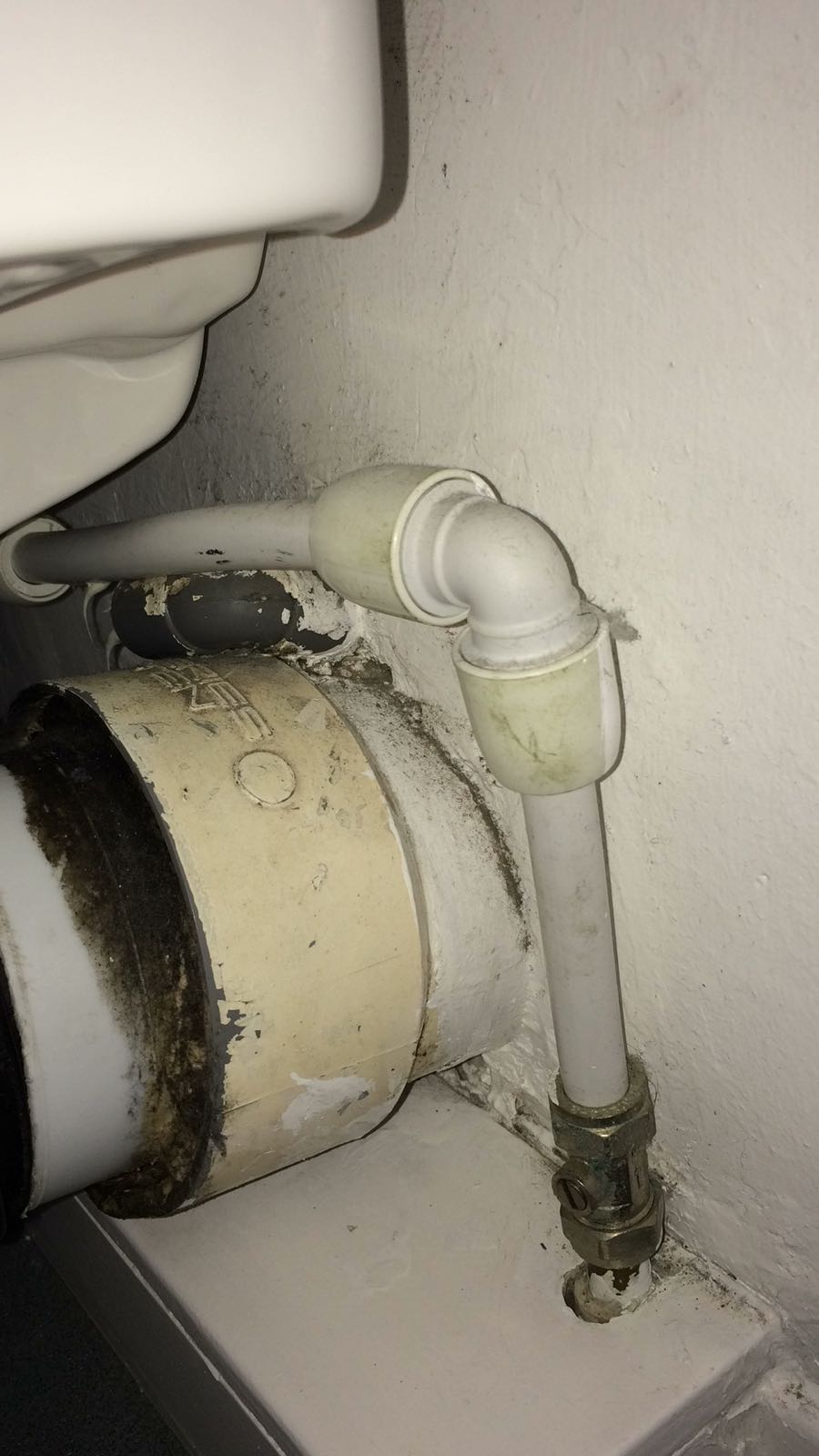 TOILET PIPE .jpg