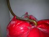 24102010405.jpg