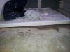 20130613_192307.jpg 20130613_192307.jpg
