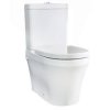 toilet.jpg