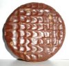 biccy.jpg