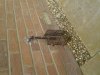 20140614_104056.jpg
