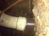 flue1.jpg flue1.jpg