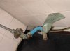 DSC00479.jpg