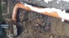 20160117_132452.jpg