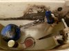 20160505_231620.jpg