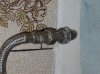 20160512_191442.jpg