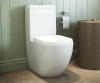 V30111010CH+Chetsford_Close_Coupled_Toilet-bathrooms_com-scene-square-medium-white.png
