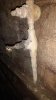 IMG_20160910_140034567.jpg