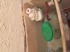 IMG_1981.jpg IMG_1981.jpg