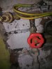 IMG_20160323_193121.jpg