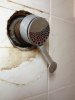 Shower 2.jpg