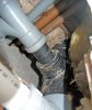 PIPES2.jpg PIPES2.jpg