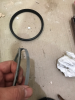 seal and ring.png