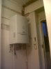 rotated111114034339.jpg