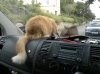 phone pics 111.jpg