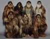 wookie.jpg