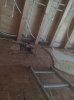 20130330_125408.jpg